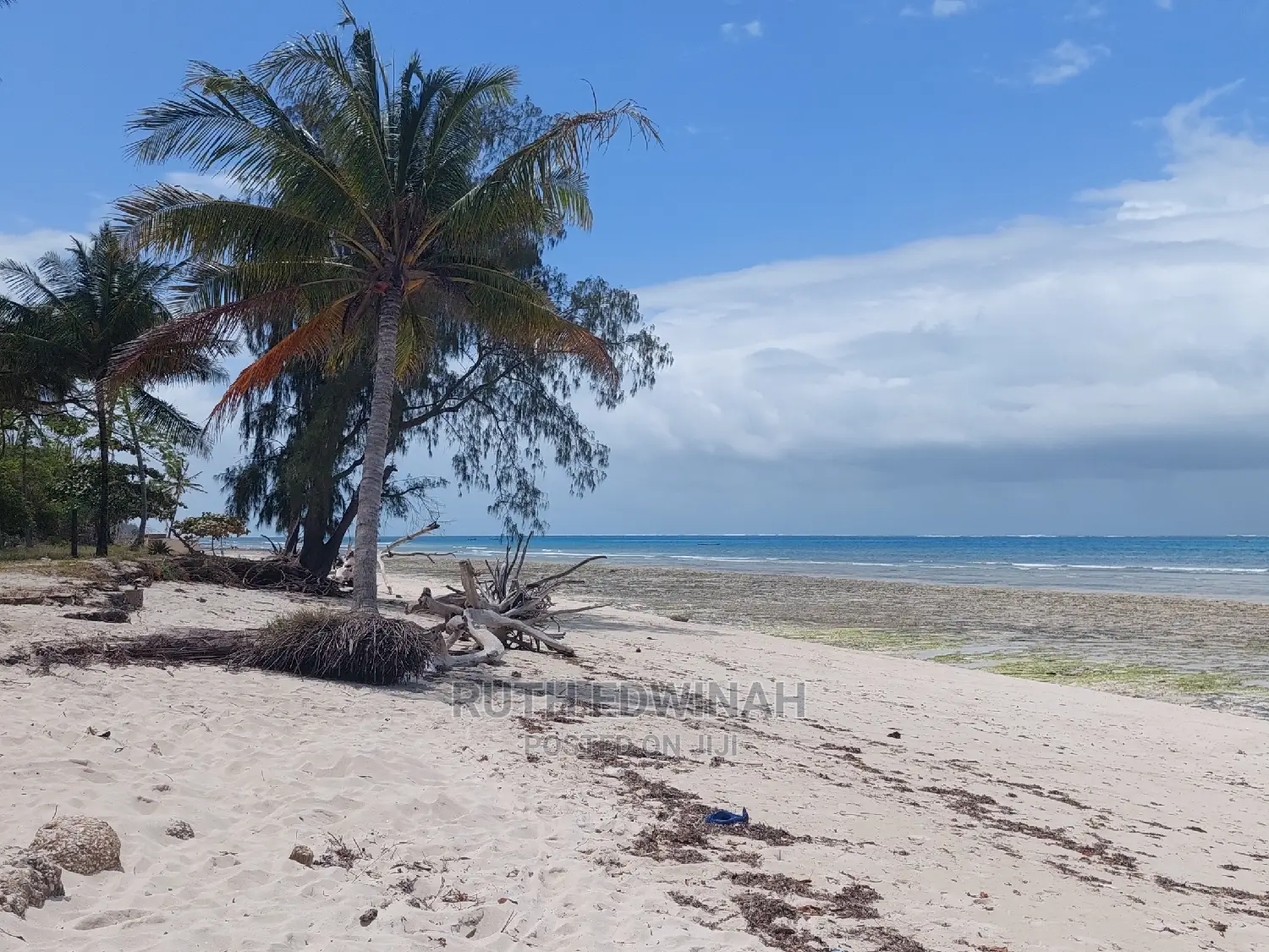50 by 100 Galu (Diani) Plots for Sale