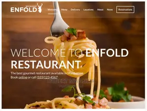Websites for Business / Blog / Online Store