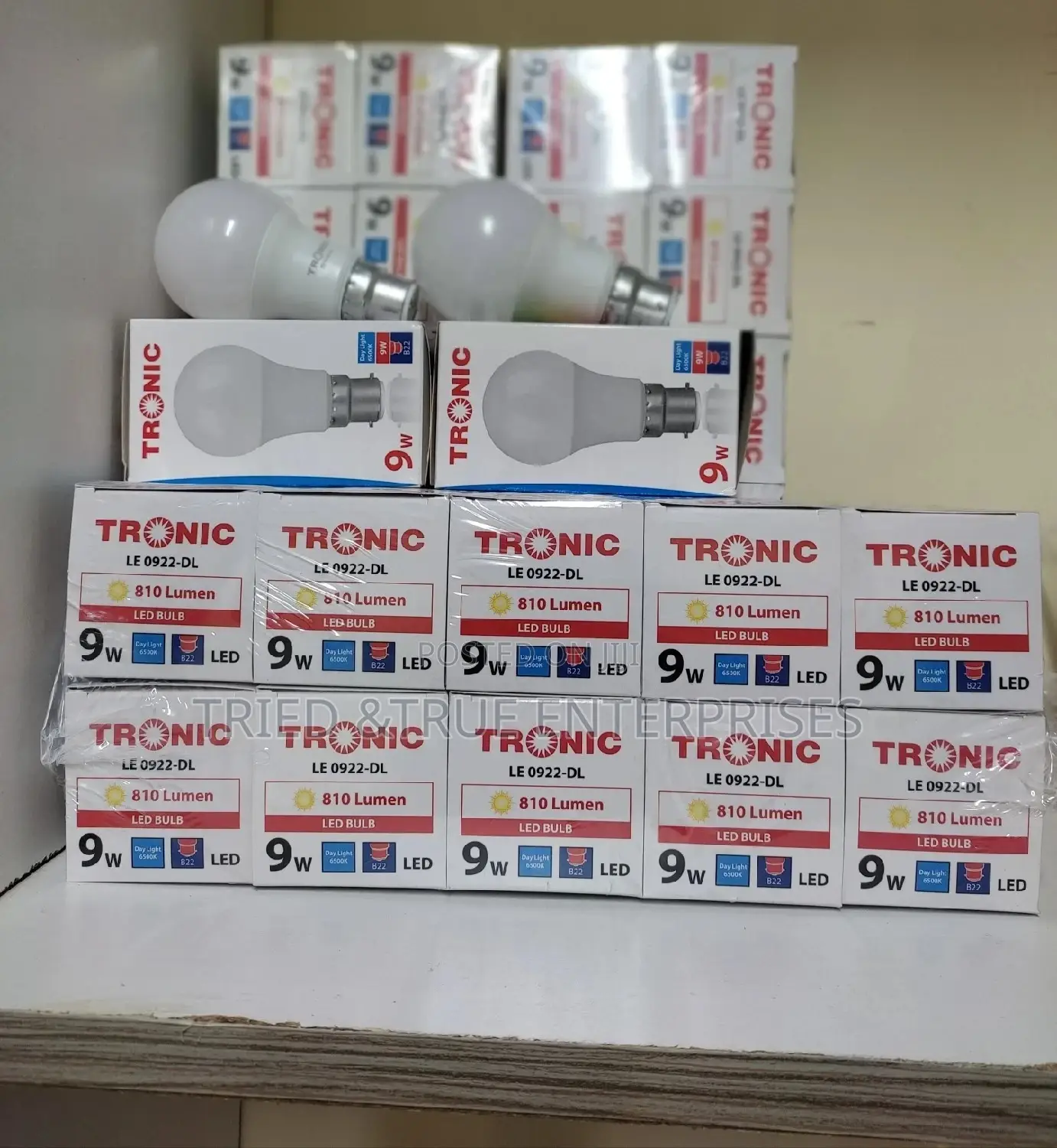 Led Bulbs (9wts)
