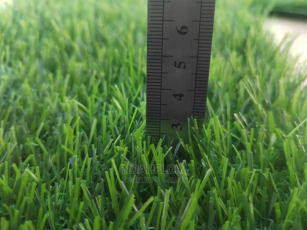 Grass Carpet