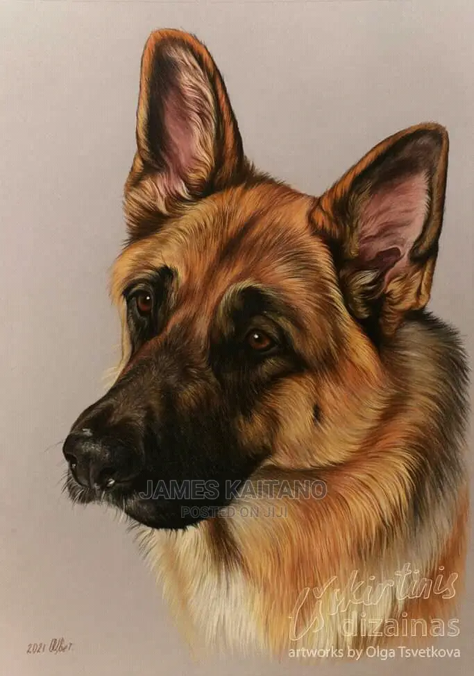 Dog Trainer