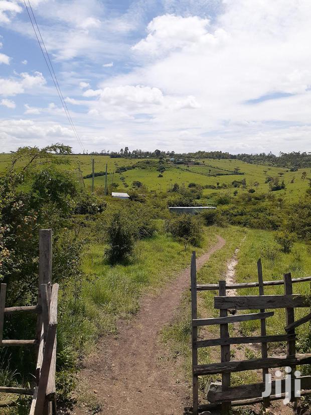 Kiserian 1⁄8 at 1 Million. - thumbnail 3