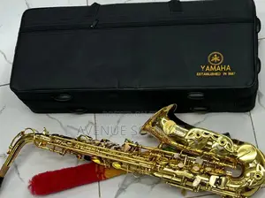 Professional Alto Saxophone - Gold Lacquer: Saxophones