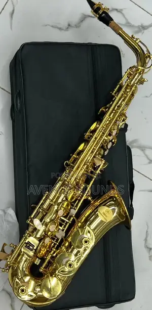Professional Alto Saxophone - Gold Lacquer: Saxophones