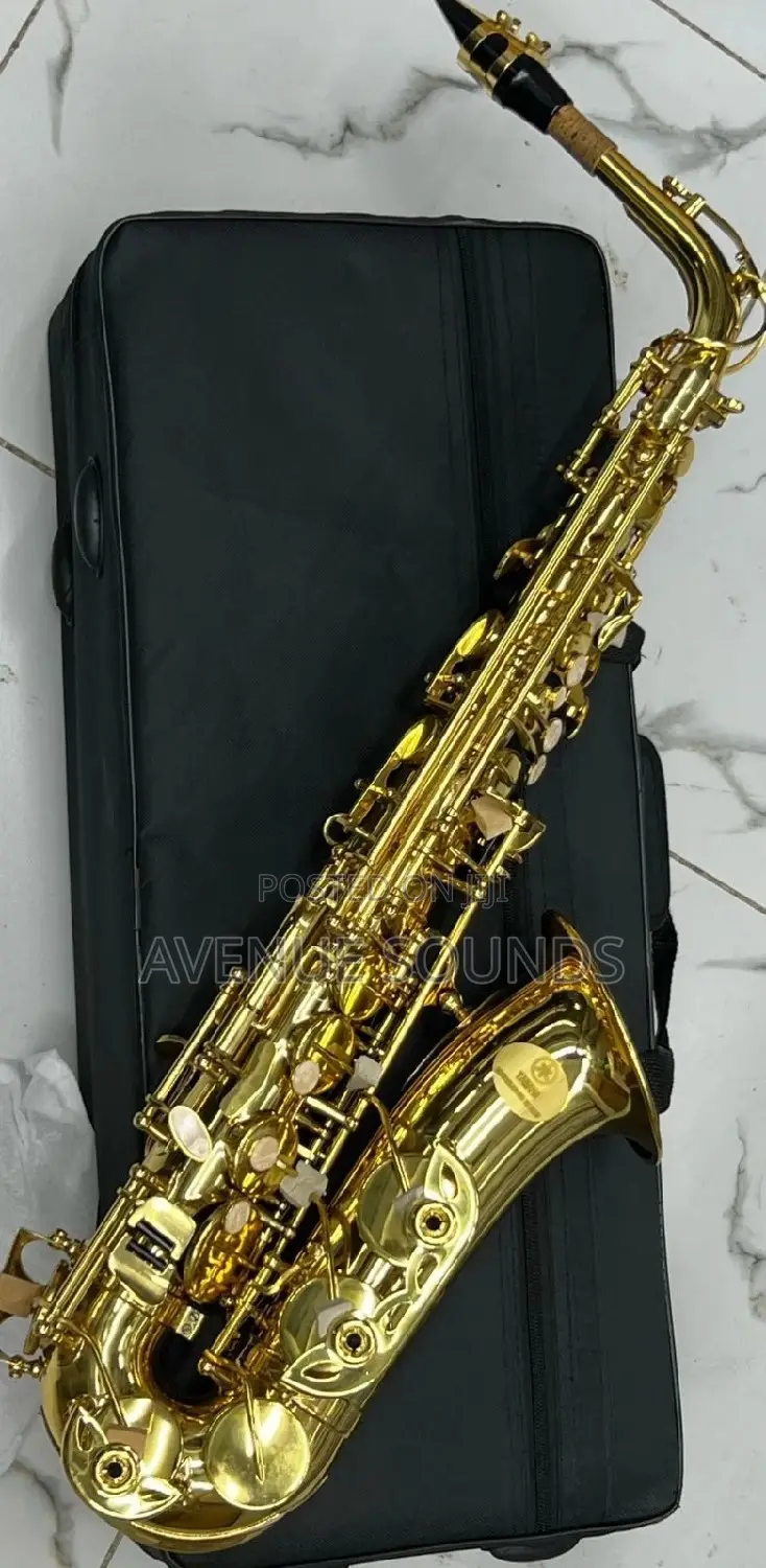 Professional Alto Saxophone - Gold Lacquer: Saxophones