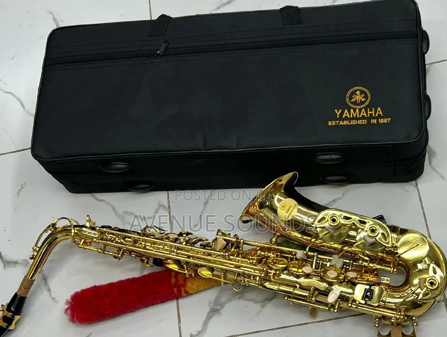 Professional Alto Saxophone - Gold Lacquer: Saxophones