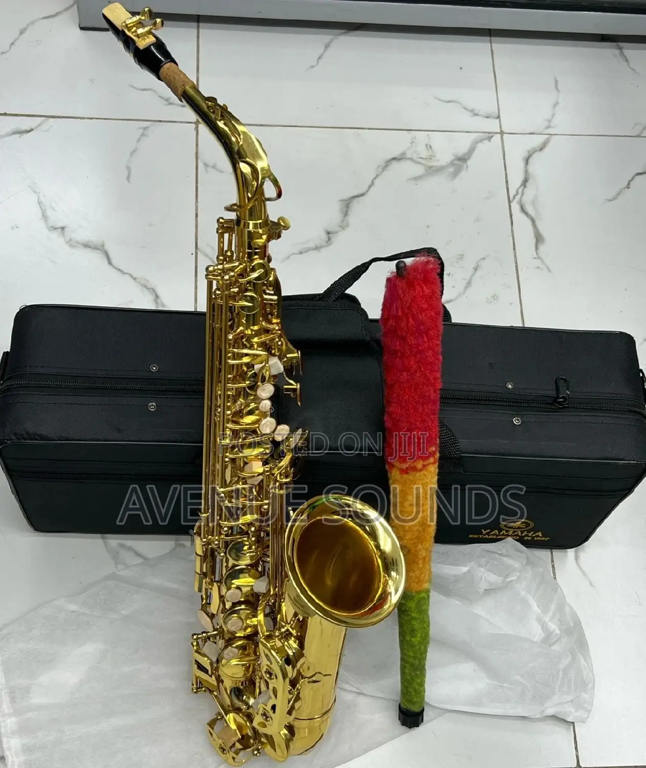 Professional Alto Saxophone - Gold Lacquer: Saxophones