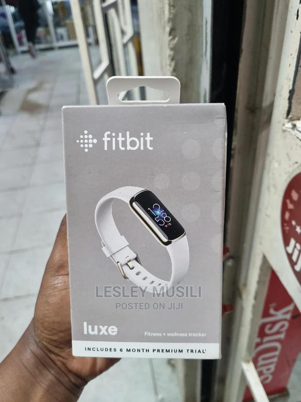 Fitbit Luxe Gray (New) - main view