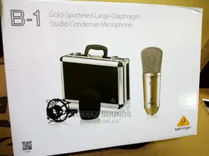 Condenser Microphone Berigher B-1