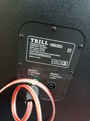 Trill 15"Profession Speaker 1000W