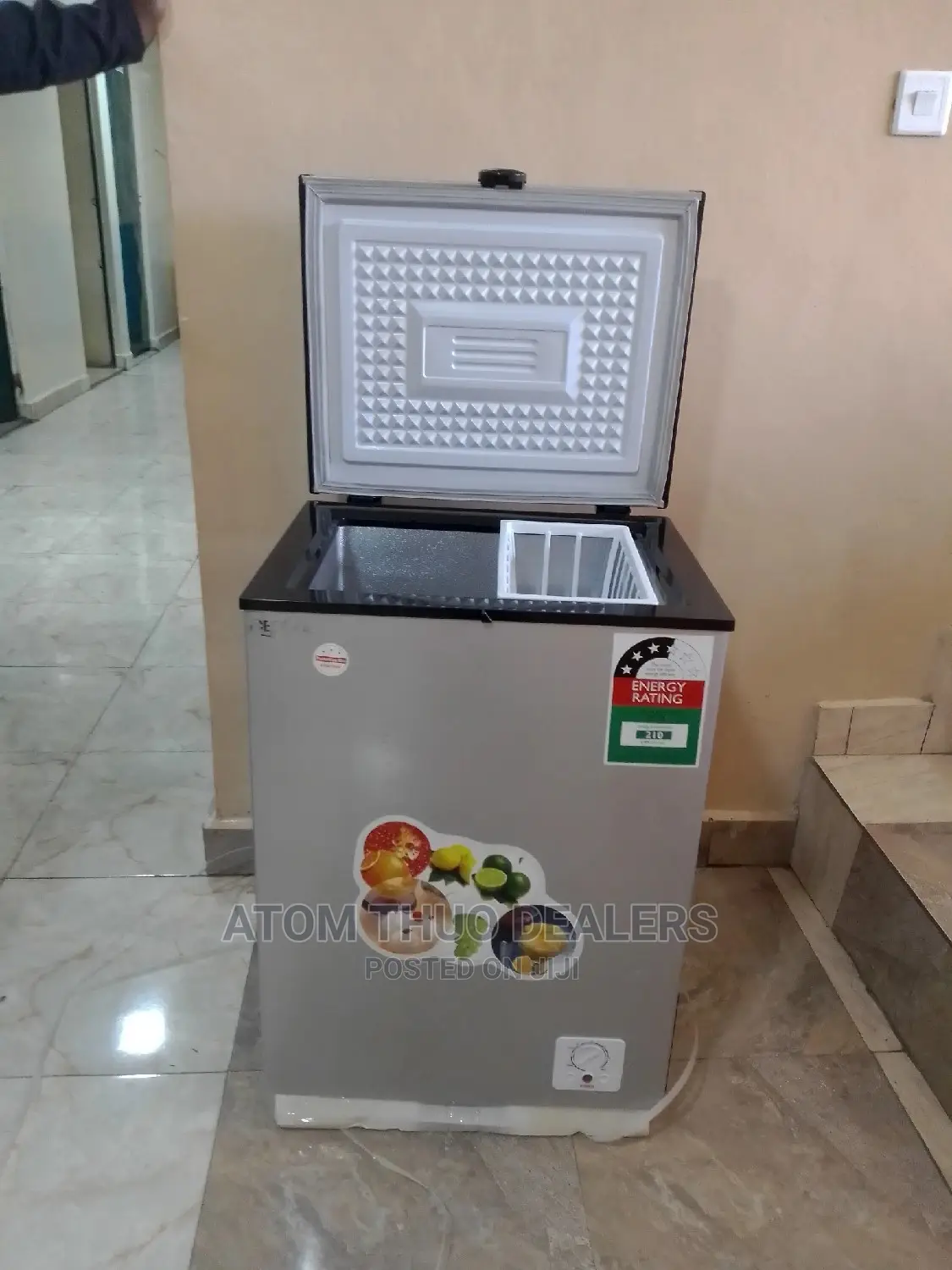 Deep Freezer Ice Cooler 109