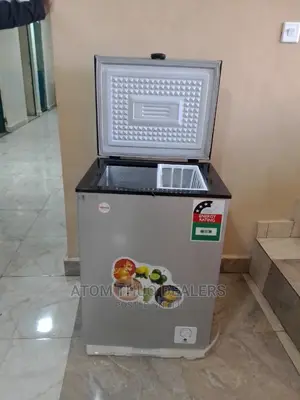 Deep Freezer Ice Cooler 109
