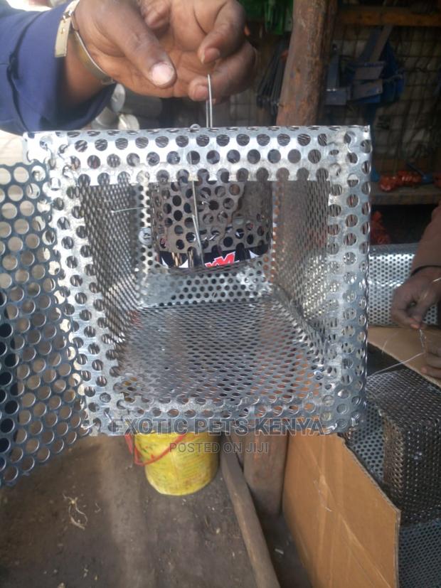 Mouse/Rat Traps - thumbnail 2