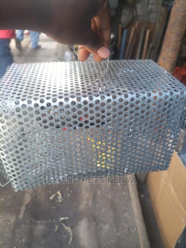 Mouse/Rat Traps - thumbnail 3