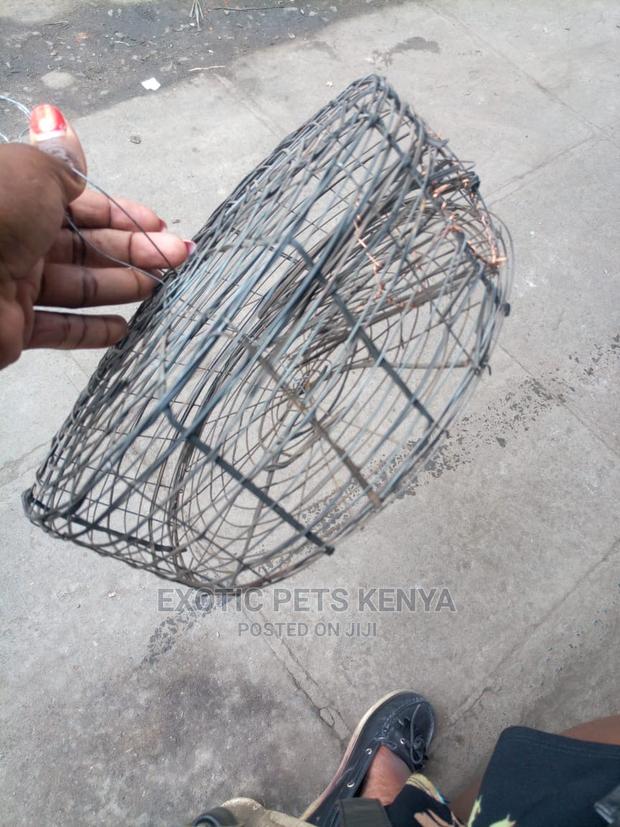 Mouse/Rat Traps - thumbnail 4