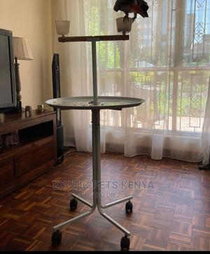 Parrot Stand - thumbnail 2