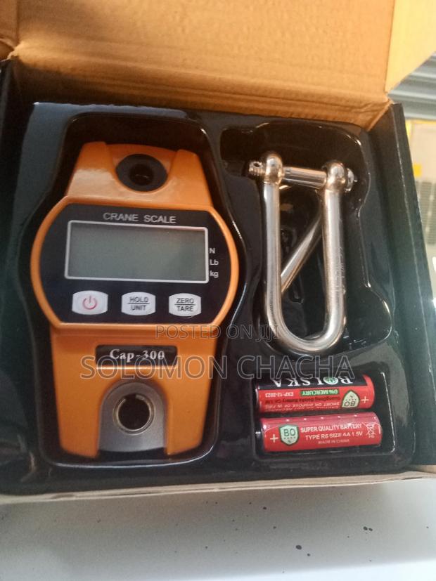 Crane Scale 300kg - main view