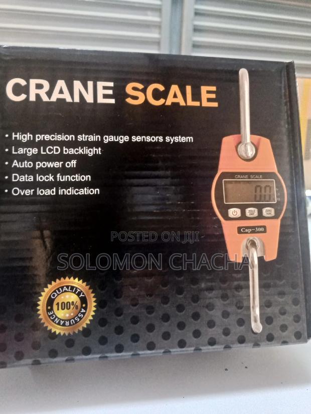 Crane Scale 300kg - thumbnail 3