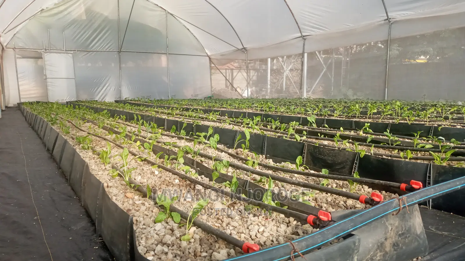 Greenhouse FABRICATIONS