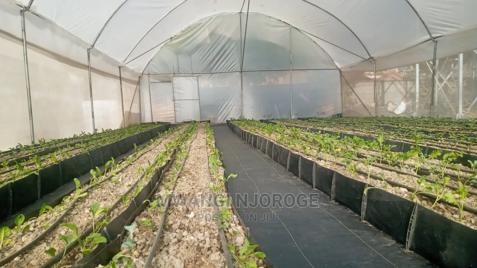 Greenhouse FABRICATIONS