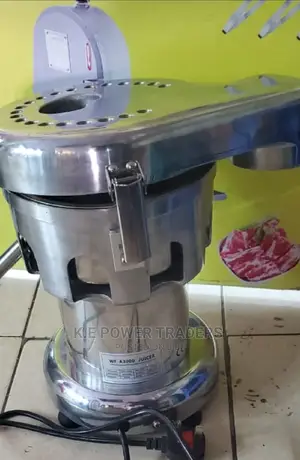 Readily Available Commercial Use Fruit Juicer