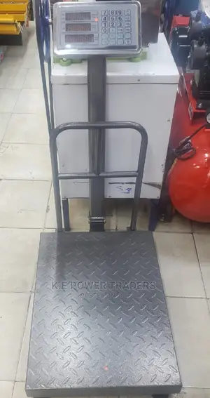 Silver Commercial 300kg Accurate Platform Scale