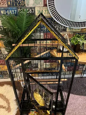 Custom African Grey Cages