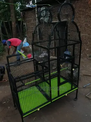Custom African Grey Cages