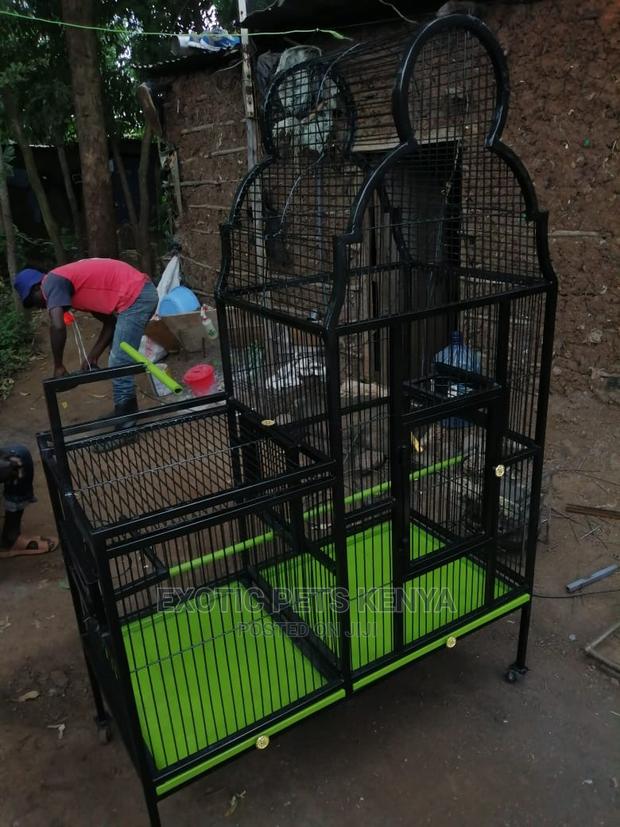 Custom African Grey Cages - thumbnail 4