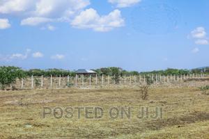 Plots in Kamakis^Cm - thumbnail 2