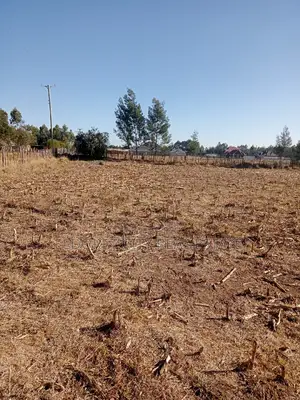 1/8 Plots Ilula Ideal for Residential