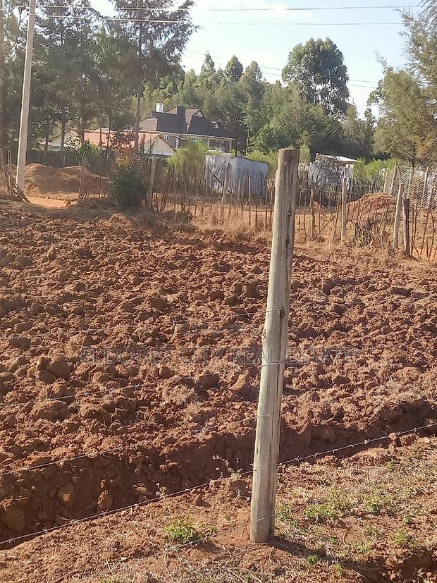 1/8 Plots for Sale Outspan in Good Location