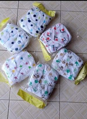 Washable Diapers With 2 Inserts_de - main view
