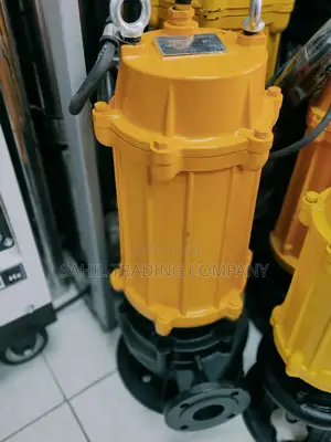 2" Heavy Duty Sewage Submersible Pumps 1hp 2hp 3hp 5.5hp 7.5hp 10hp
