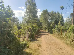 Karatina/Kianjogu 1 Acre