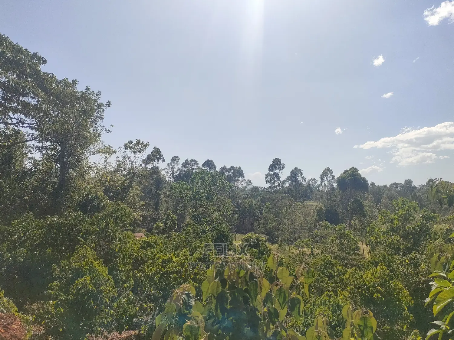 Karatina/Kianjogu 1 Acre