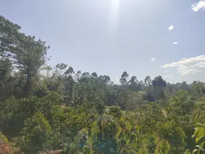 Karatina/Kianjogu 1 Acre