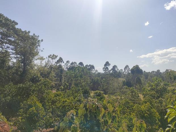 Karatina/Kianjogu 1 Acre - thumbnail 2