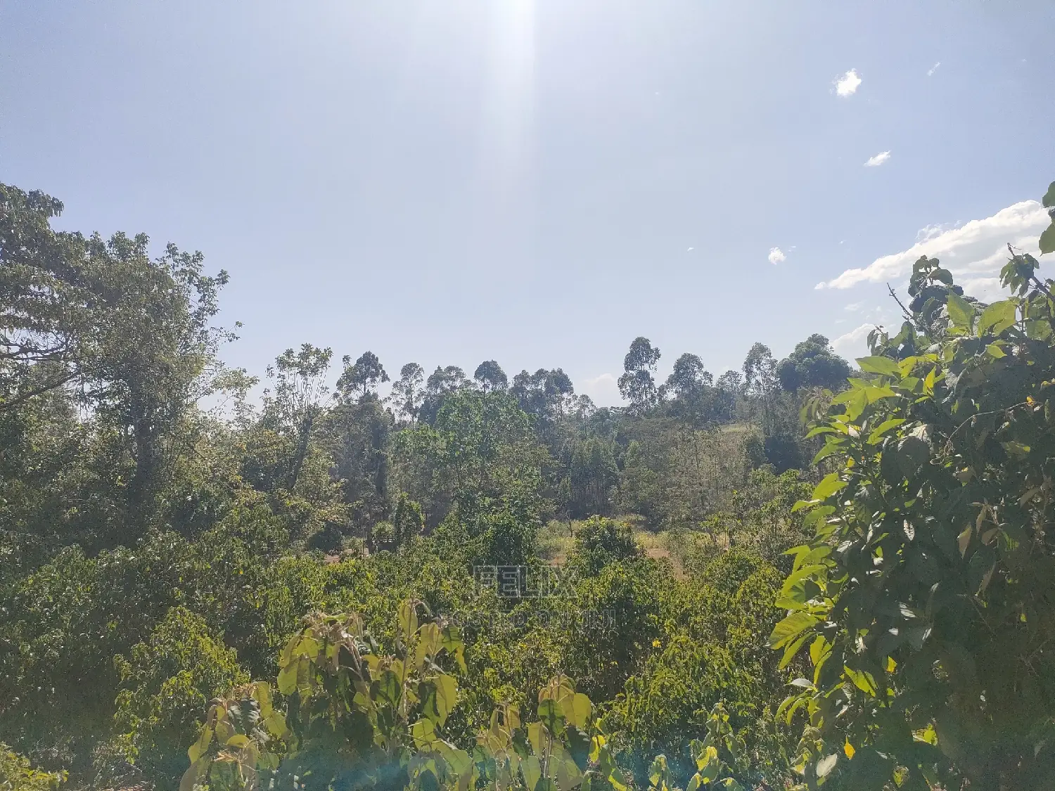 Karatina/Kianjogu 1 Acre
