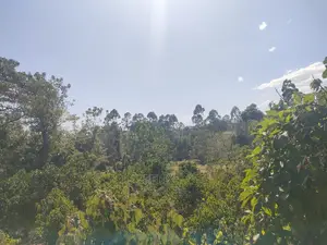 Karatina/Kianjogu 1 Acre