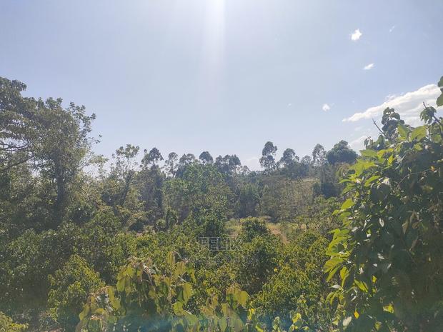 Karatina/Kianjogu 1 Acre - thumbnail 3