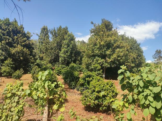 Karatina/Kianjogu 1 Acre - thumbnail 6