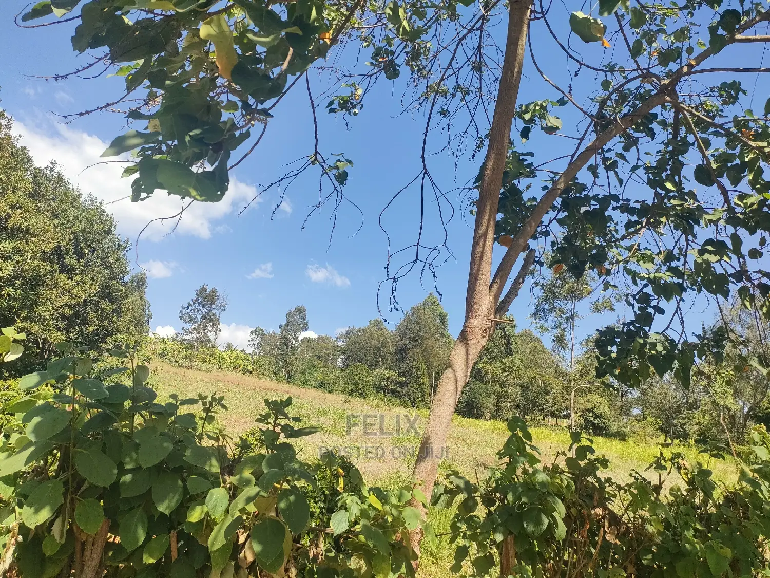 Karatina/Kianjogu 1 Acre