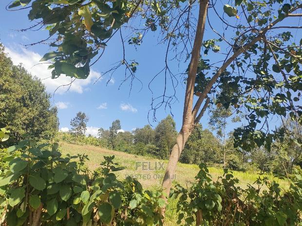 Karatina/Kianjogu 1 Acre - thumbnail 4