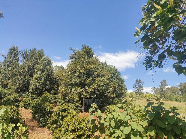 Karatina/Kianjogu 1 Acre - thumbnail 5