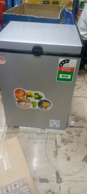 Good Quality Ice Cool Chest Freezer 109 Litre