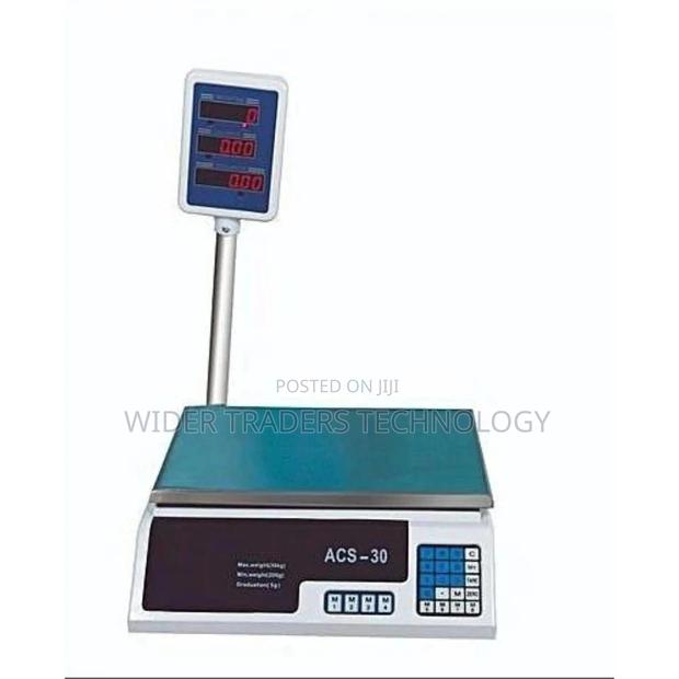 ACS 30 Scale - main view