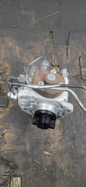 CX 5 Injector Pump /High Pressure Pump