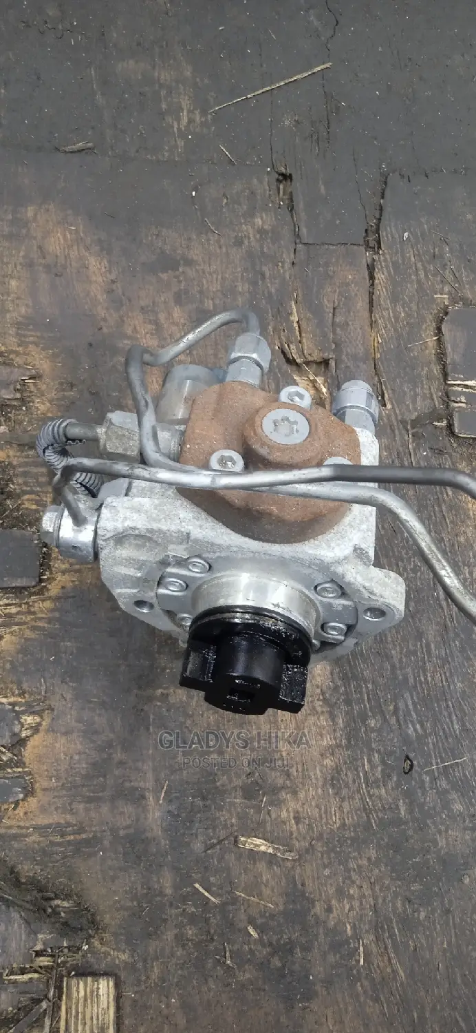 CX 5 Injector Pump /High Pressure Pump