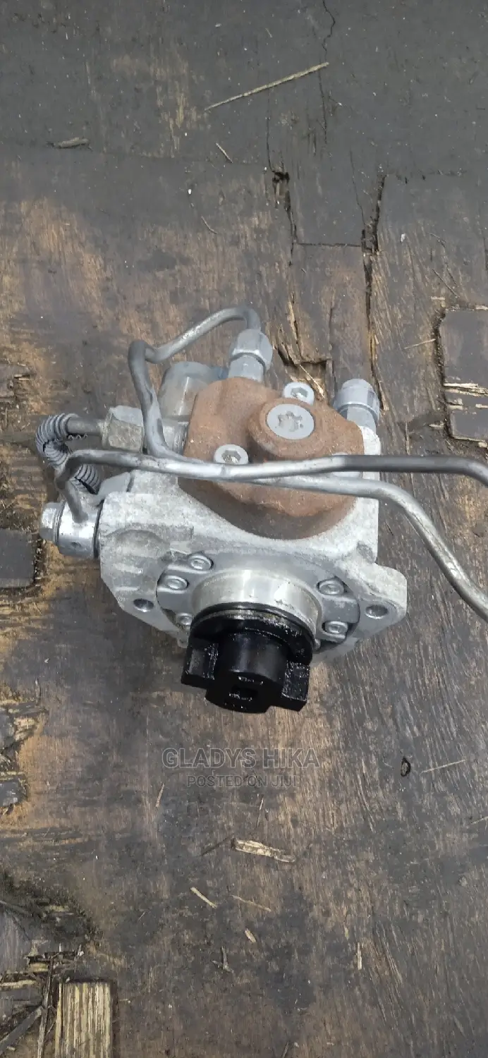 CX 5 Injector Pump /High Pressure Pump